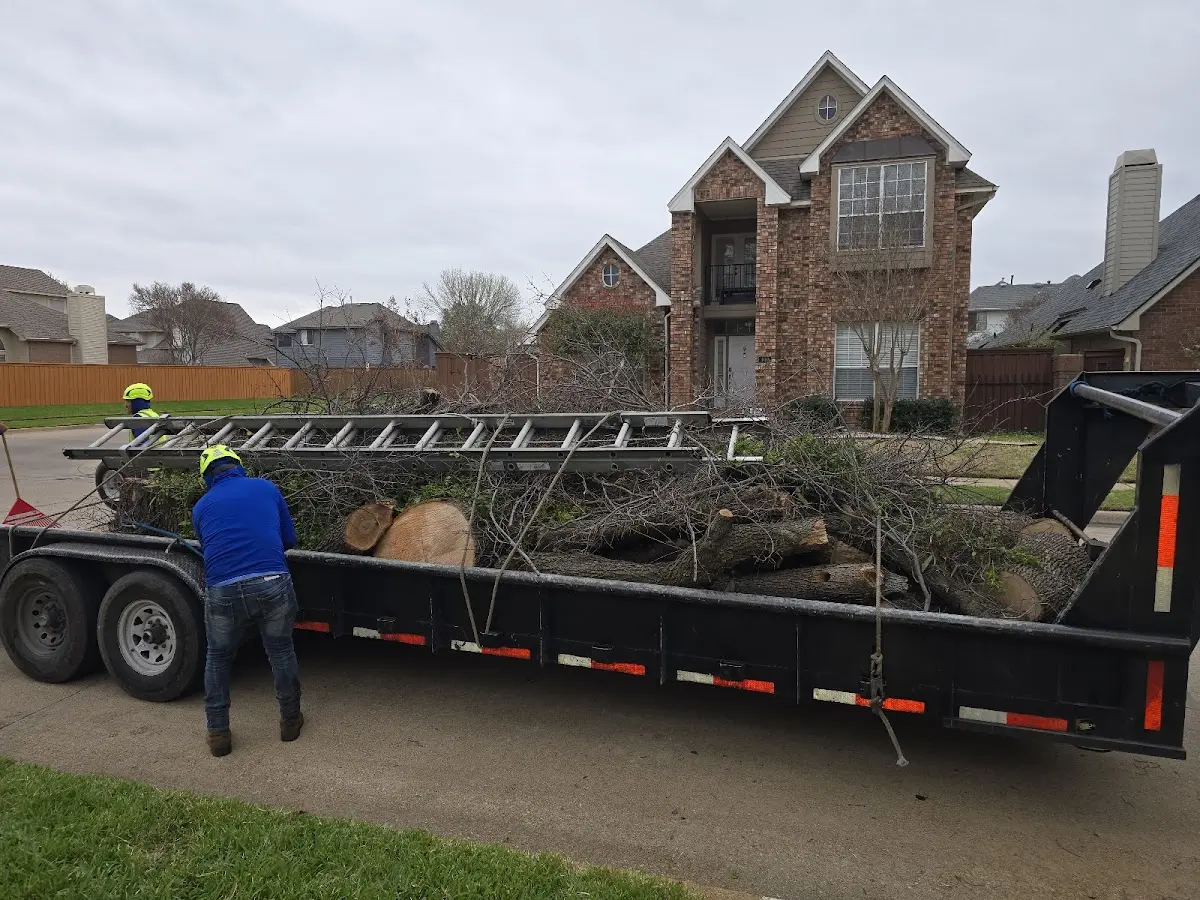 Expert Tree Fertilization with proper safety equipment in Wilson